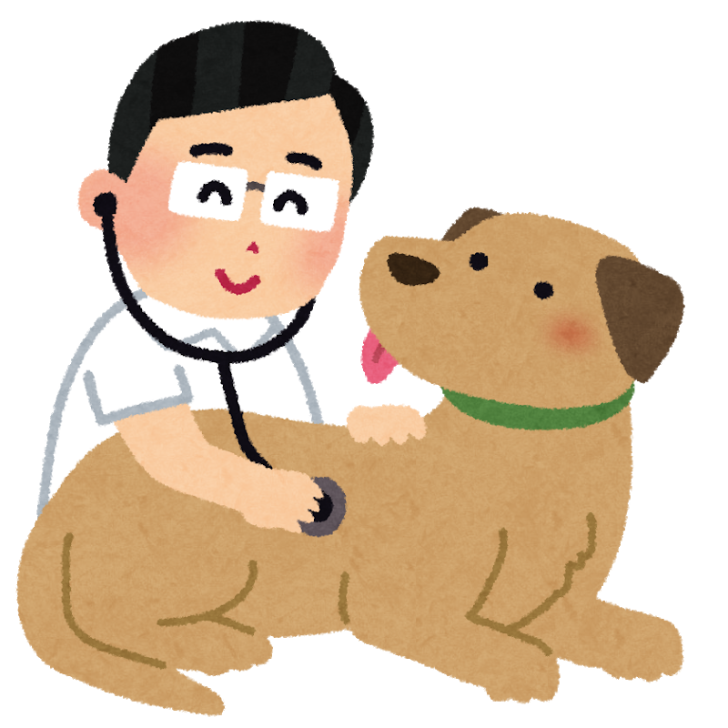 シーズー犬　下痢と検査